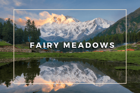 fairy meadows