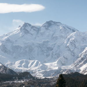 Fairy Meadows