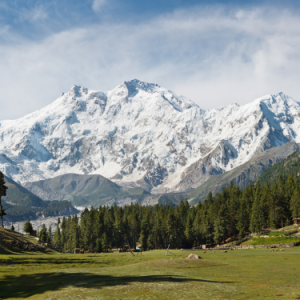 Fairy Meadows