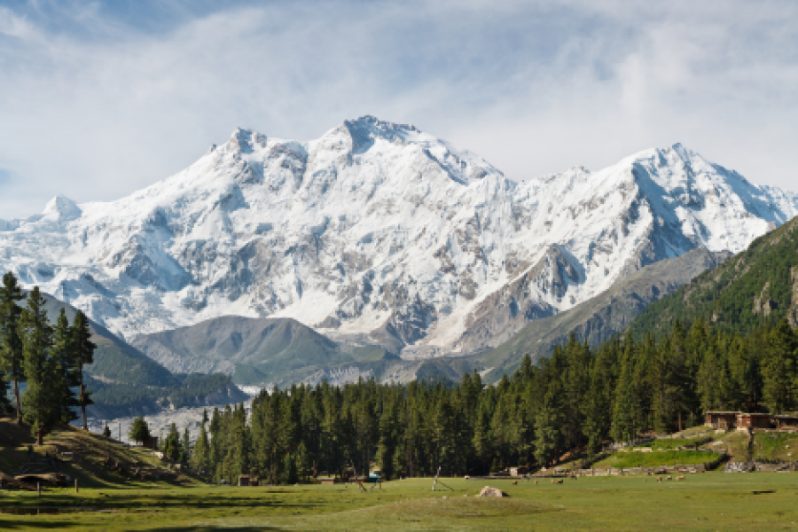 Fairy Meadows