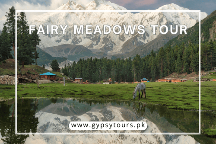 Fairy Meadows Tour