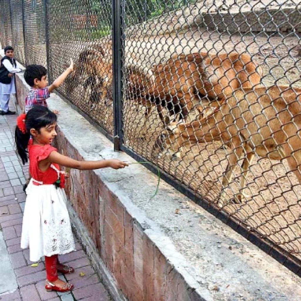 Lahore Zoo