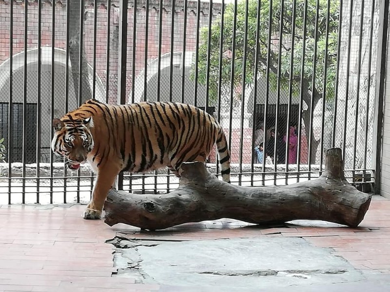 Lahore Zoo