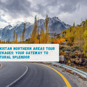 Pakistan Northern Areas Tour Packages