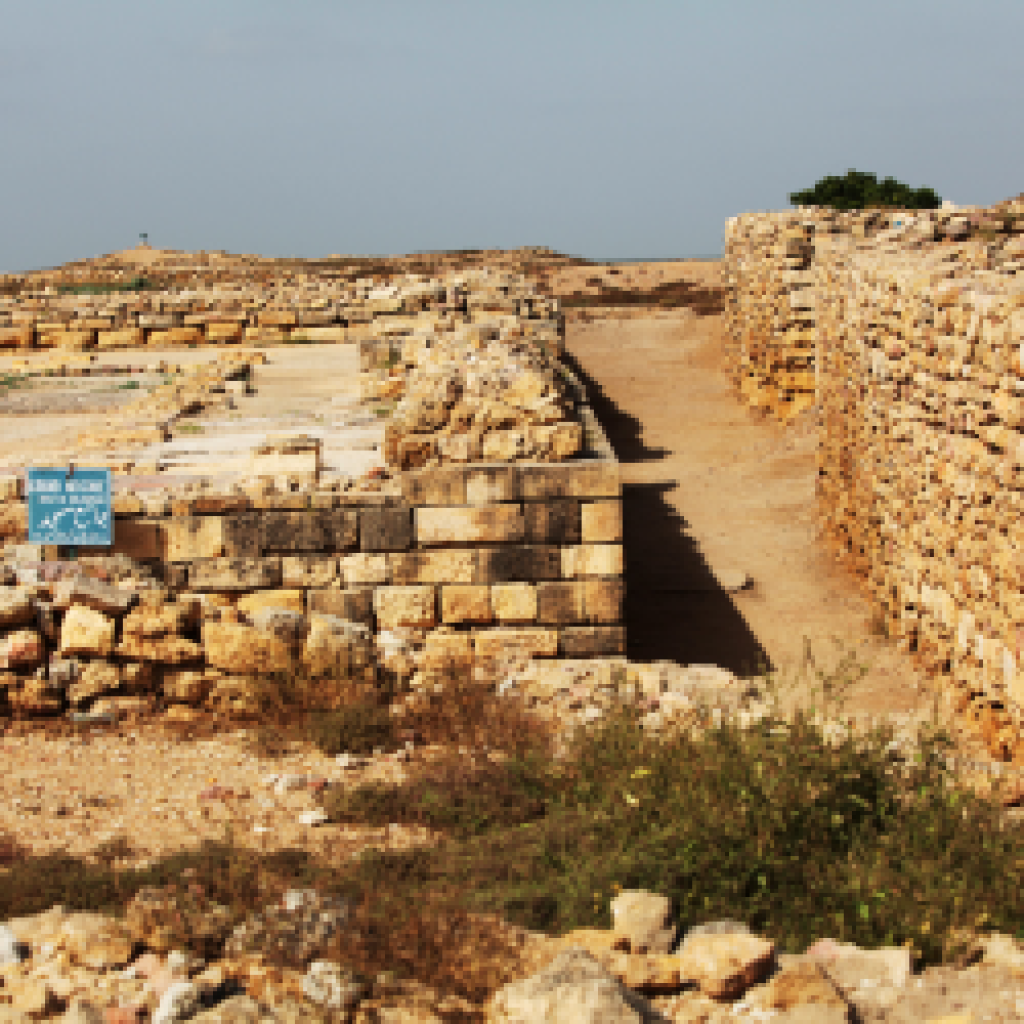 Harappa