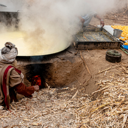 Rural Punjab: A Glimpse into the Stylish Desi Life