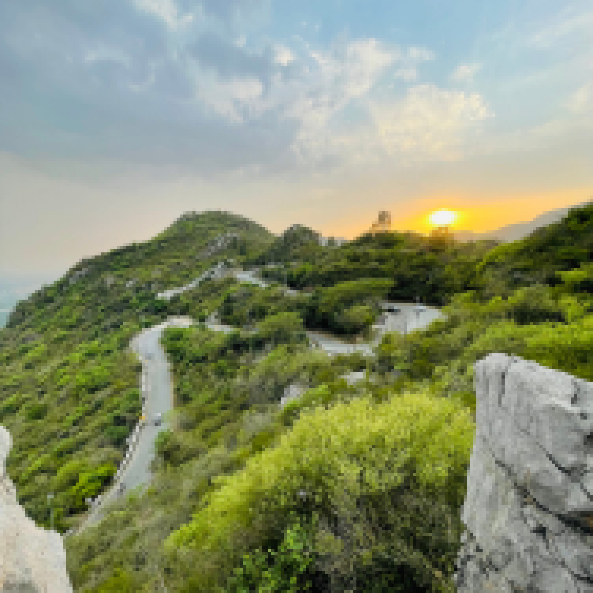 37 (number) metrics - Module