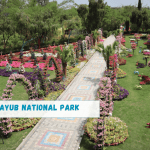 Ayub Park Lahore