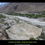 Chapursan Valley