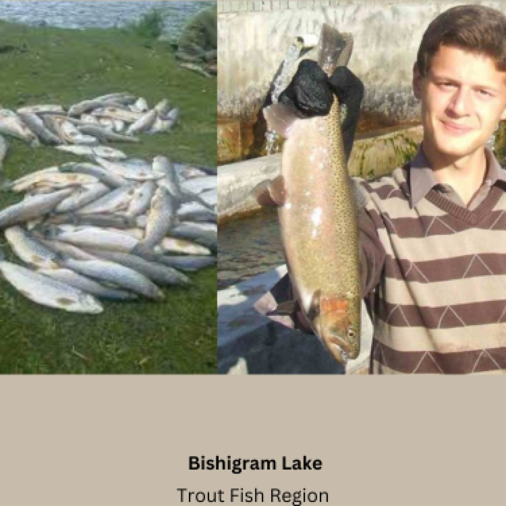 Bishigram Lake: A Trout Fish Delight 2024/2025