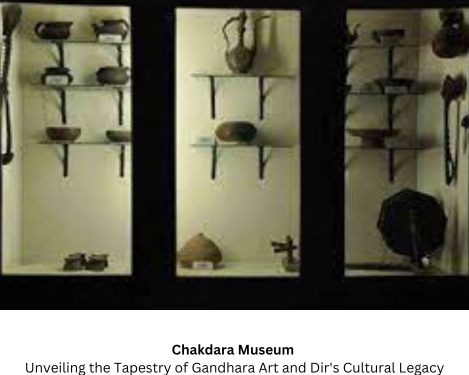 Chakdara Museum