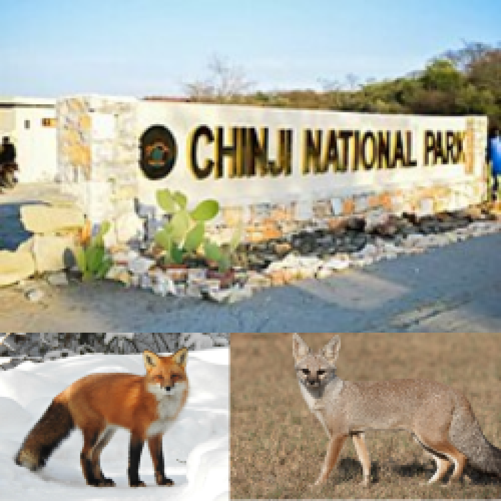 Chinji National Park: 1st Choice for Ecologists