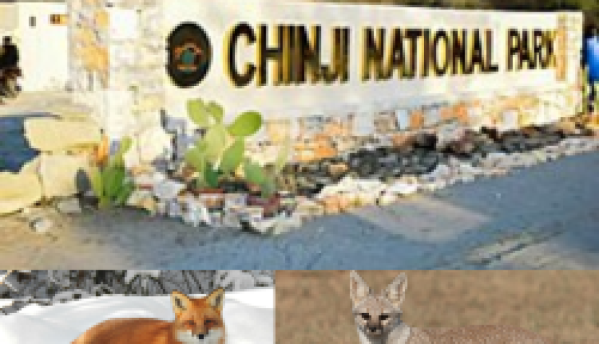 Chinji National Park