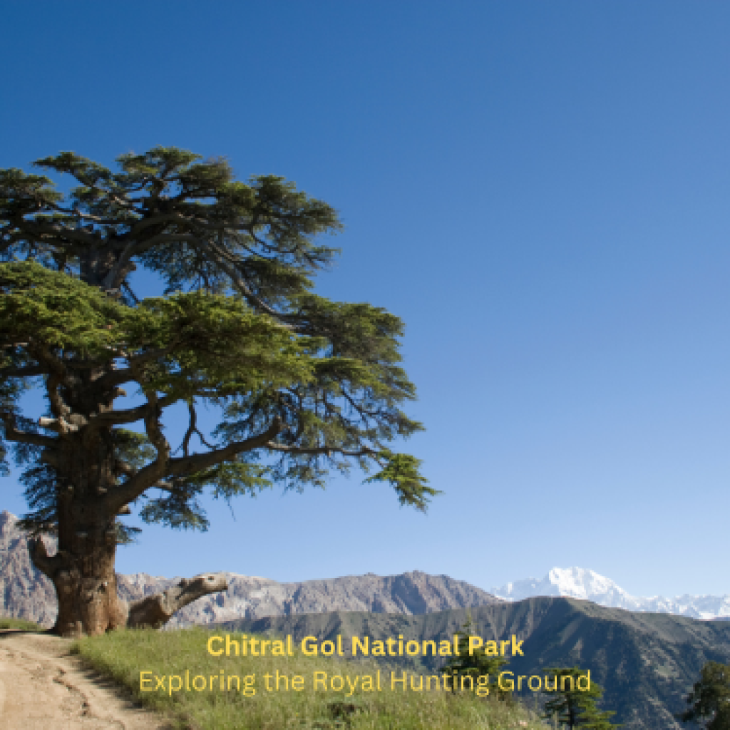 Chitral Gol National Park: Explore the Scenic Royal Hunting Ground in 2024