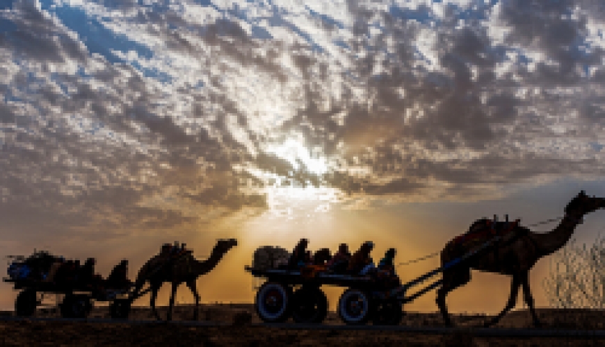 Cholistan Desert