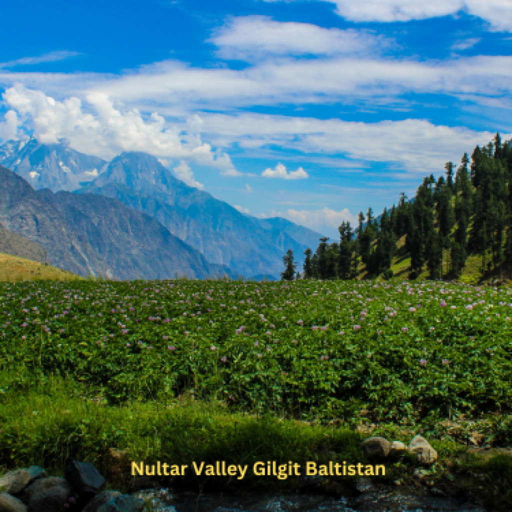 Bashkiri Lakes, Naltar: Just 40km from Gilgit