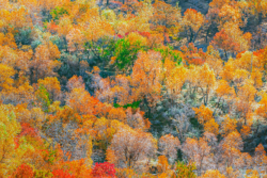 Mesmerizing Hunza Autumn Tour 2024-2025