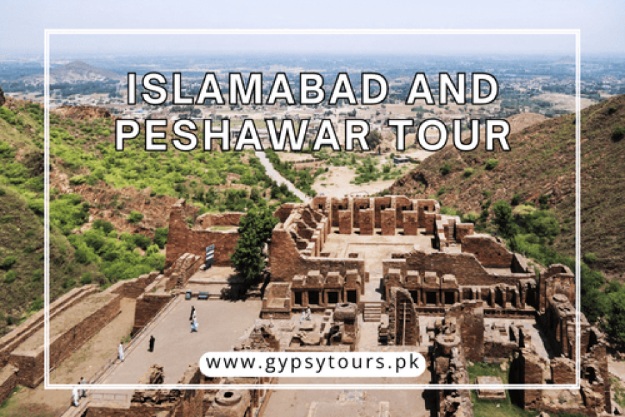 Islamabad and Peshawar Tour