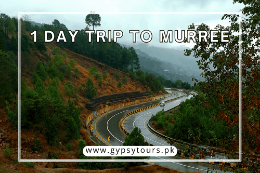 1 Day Trip to Murree