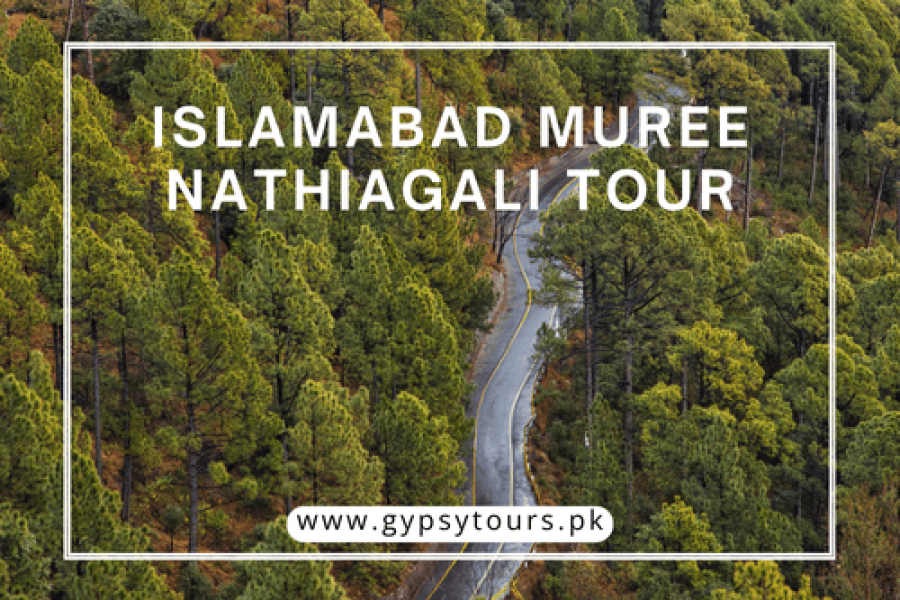 Islamabad Muree Nathiagali Tour