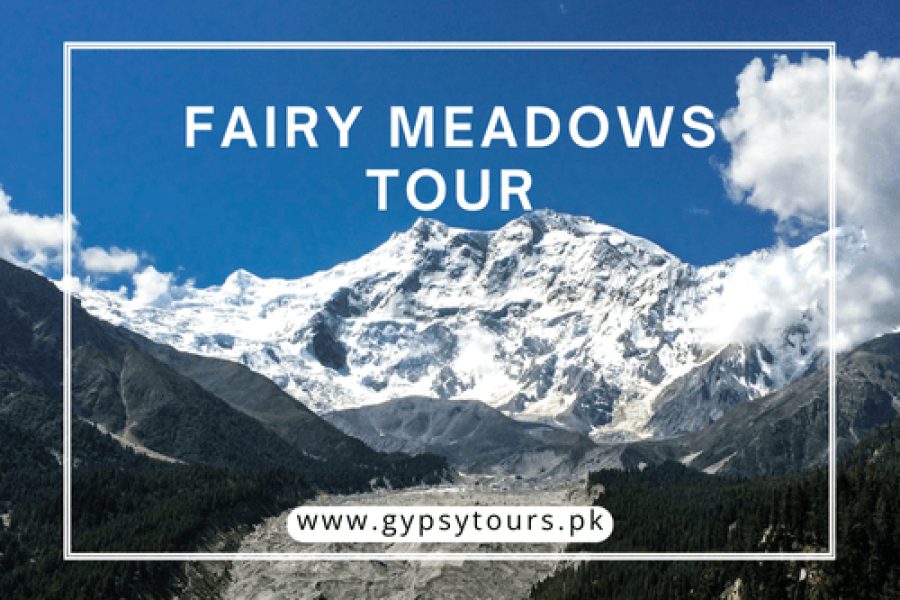 Fairy Meadows Tour