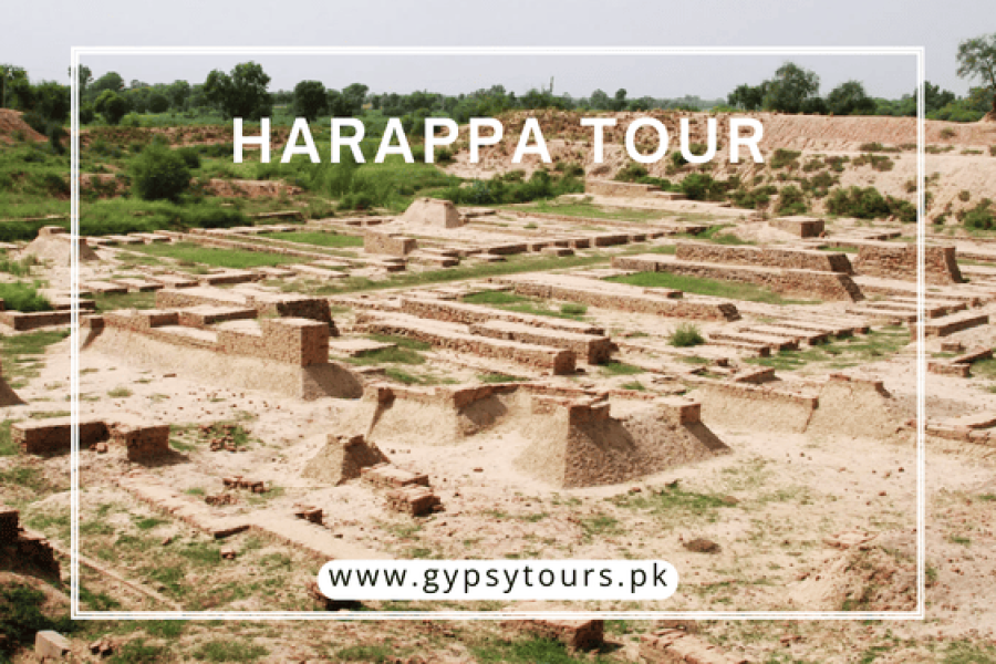 Harappa Tour 2025/2026 : Unique Traces of Ancient Punjab