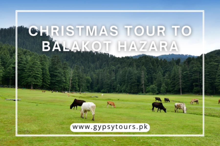 Christmas Tour Balakot Hazara: 3 Days Super Celebrations