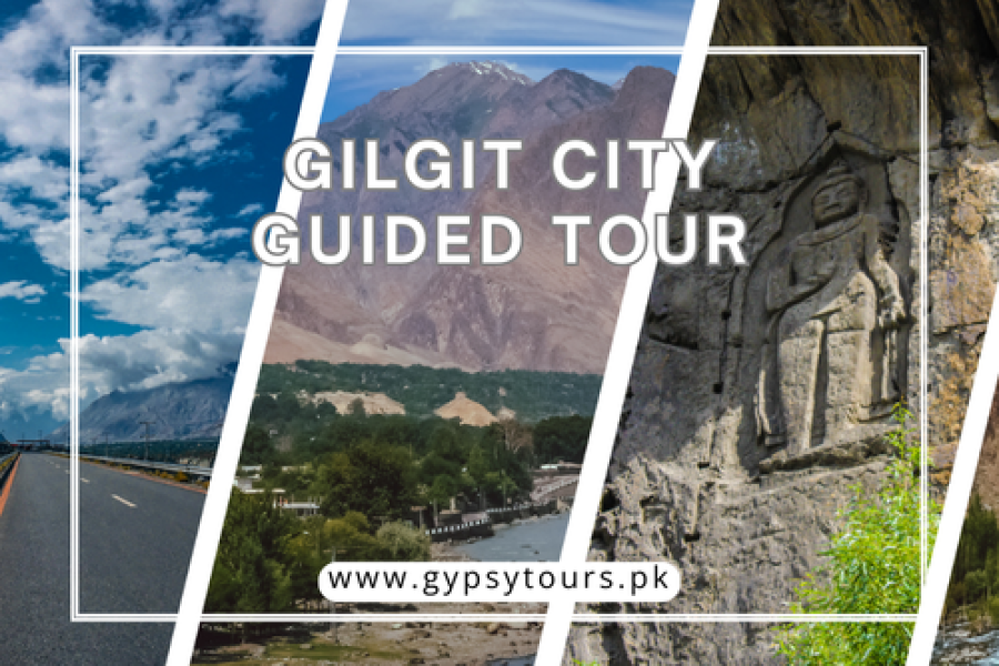 Gilgit City Guided Tour