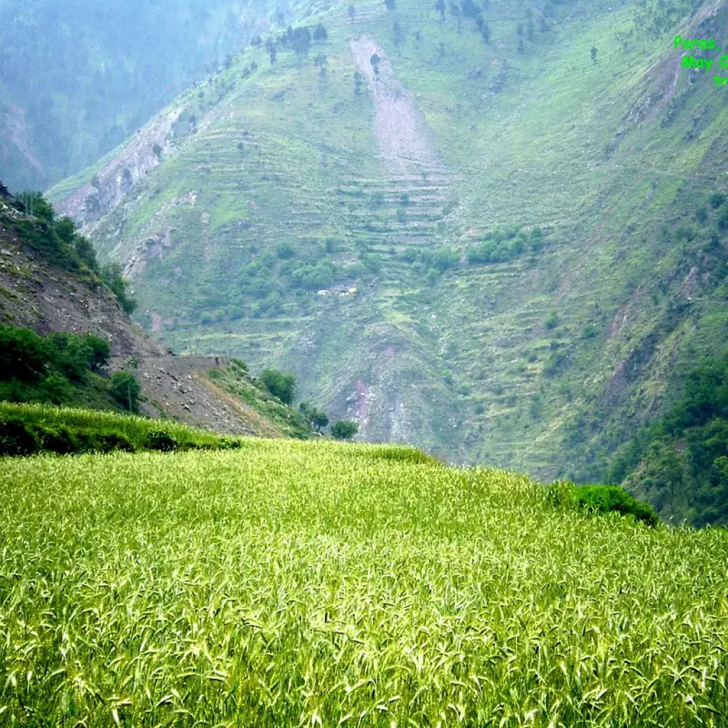 Paras Kaghan Valley