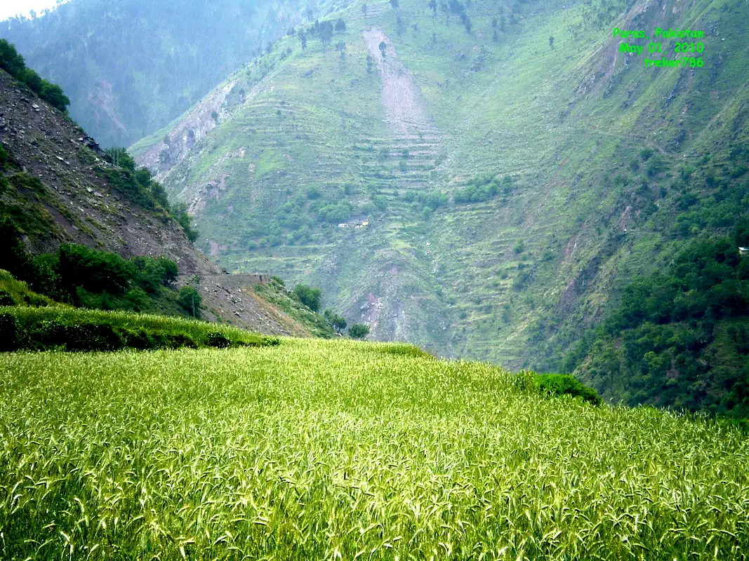 Paras Kaghan Valley
