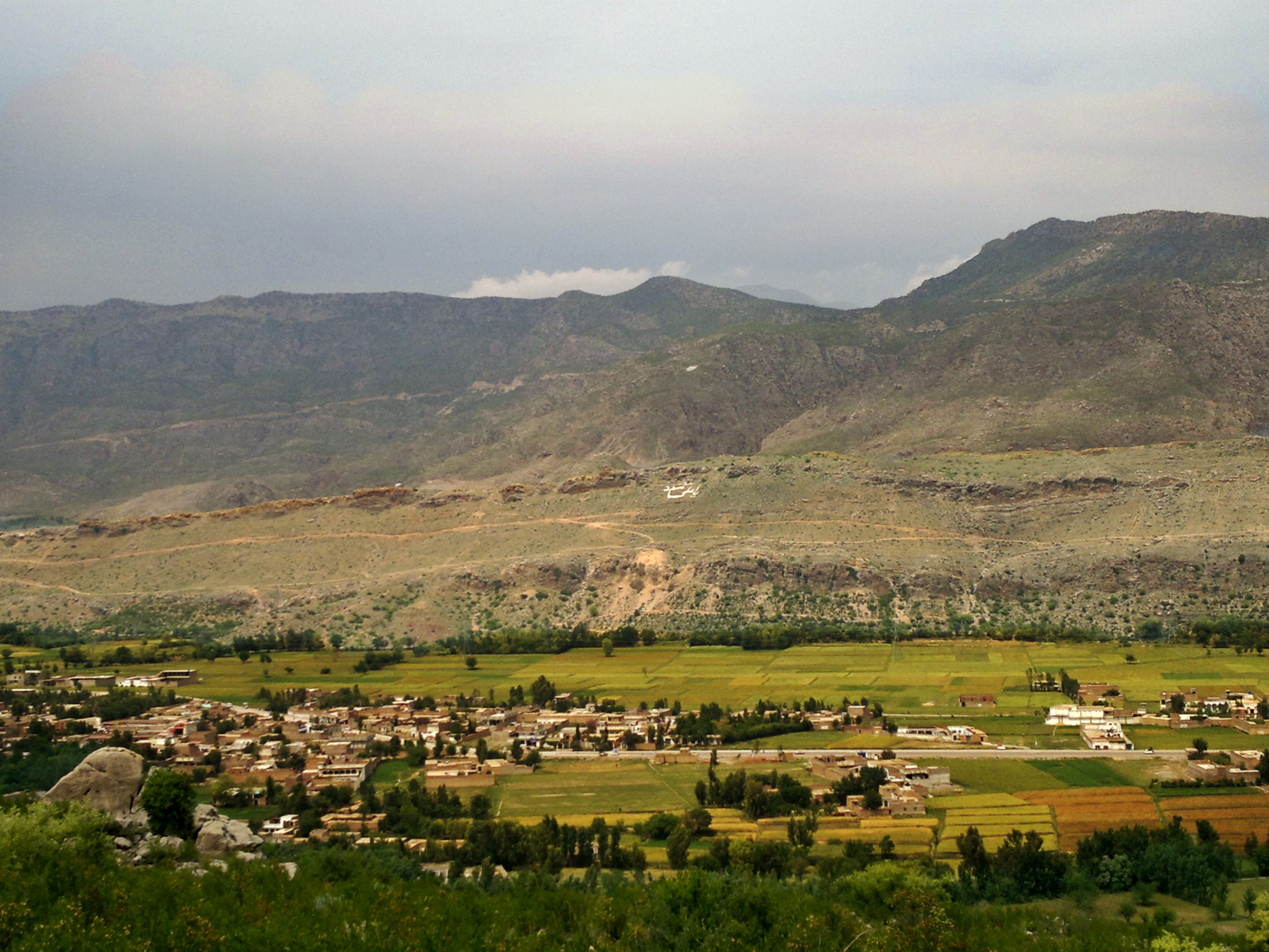 Kohat