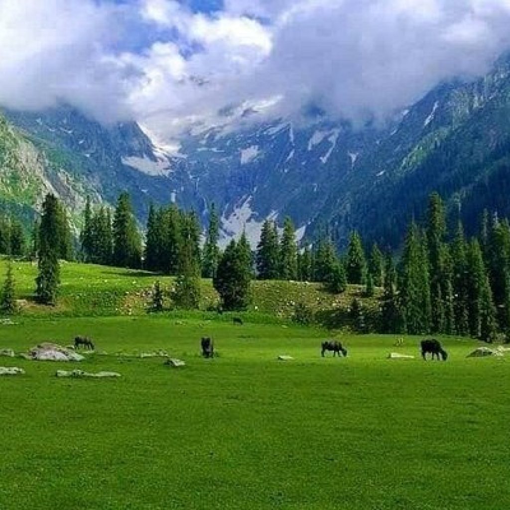 Miandam ; Swat Valley’s hidden treasure