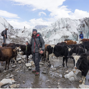 Cattle Migration
